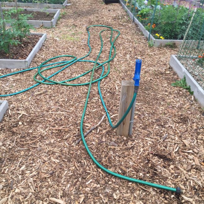 garden hose