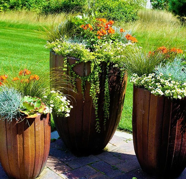 thriller-filler-spiller-plants